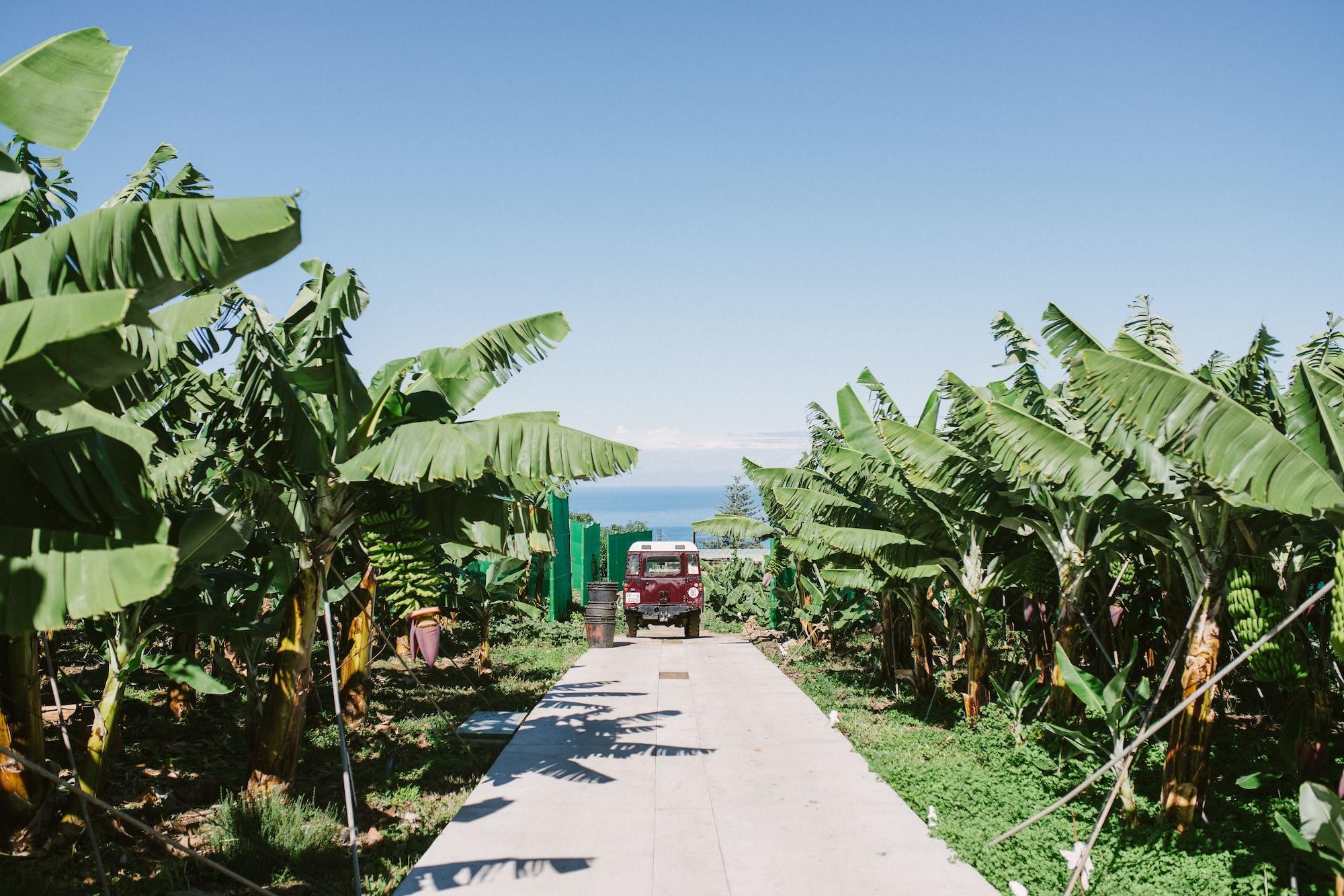 Finca El Patio Λος Ρεαλέχος Εξωτερικό φωτογραφία