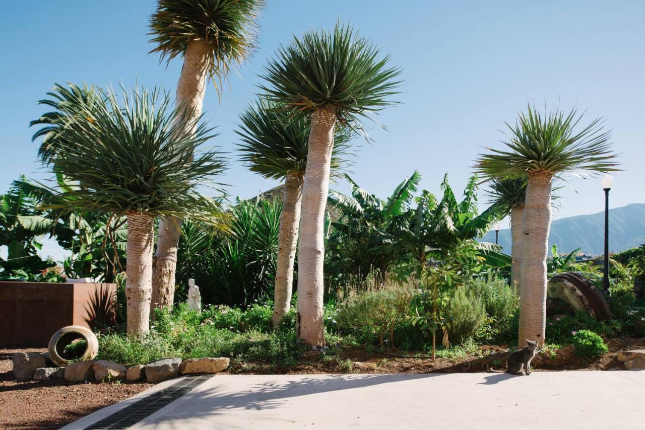 Finca El Patio Λος Ρεαλέχος Εξωτερικό φωτογραφία