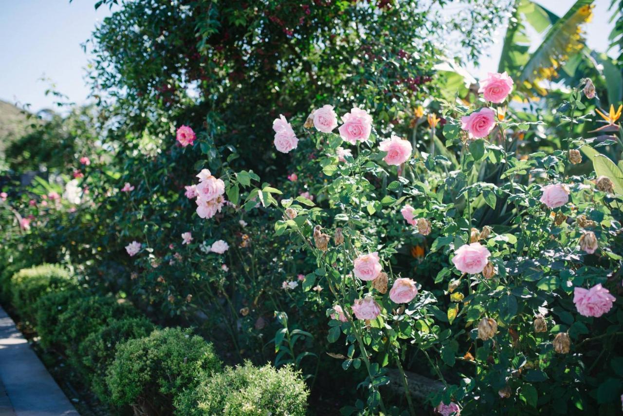 Finca El Patio Λος Ρεαλέχος Εξωτερικό φωτογραφία